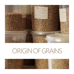 EN origin of grains
